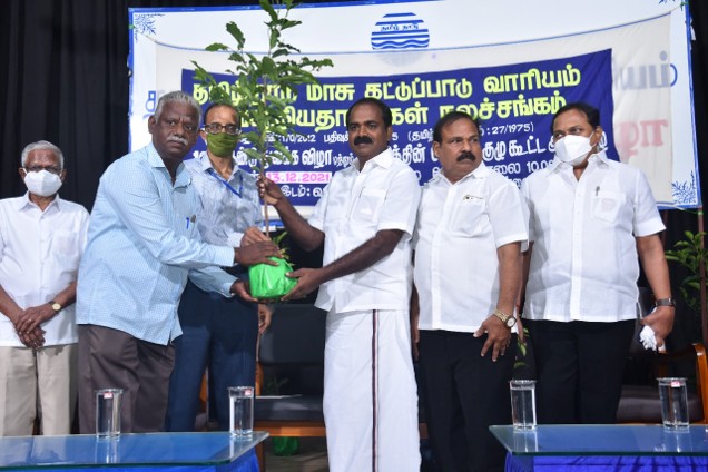 Tree Plantation Event